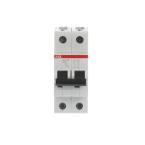  DISJ S202M 2P 2A COURBE D RACC 