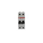  DISJ S202M 2P 10A COURBE D RAC 