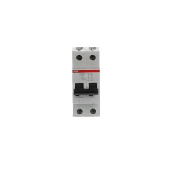  DISJ S202M 2P 10A COURBE D RAC 