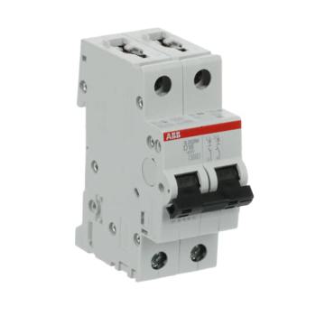  DISJ S202M 2P 16A COURBE D RAC 