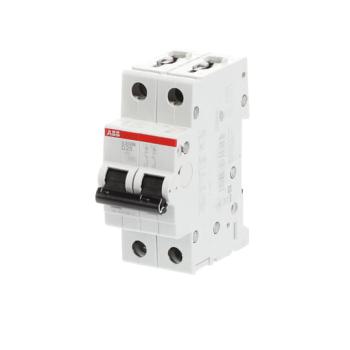  DISJ S202M 2P 25A COURBE D RAC 