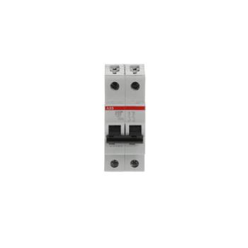  DISJ S202M 2P 32A COURBE D RAC 