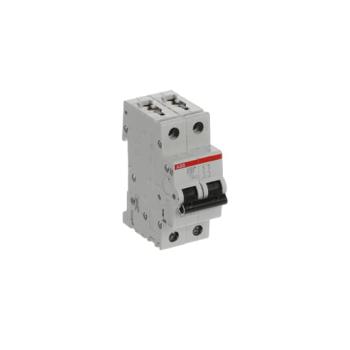  DISJ S202M 2P 32A COURBE D RAC 