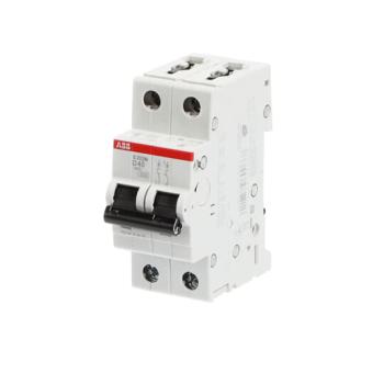  DISJ S202M 2P 40A COURBE D RAC 