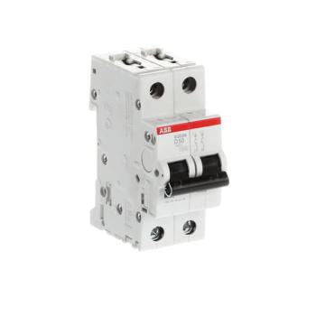  DISJ S202M 2P 50A COURBE D RAC 