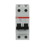 DISJ S202M 2P 63A COURBE D RAC 