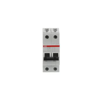  DISJ S202M 2P 16A COURBE K RAC 