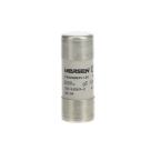  FUSIBLE CYLINDRIQUE E9F22 GG 1 