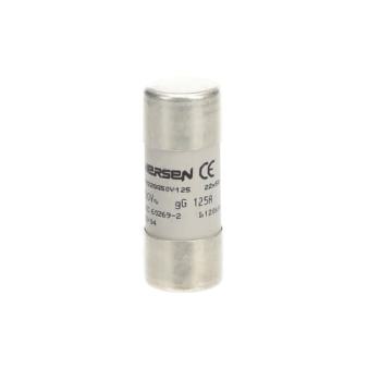  FUSIBLE CYLINDRIQUE E9F22 GG 1 