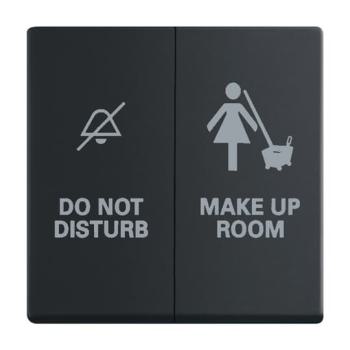  ENJOLIVEUR INTERRUPTEUR DOUBLE 