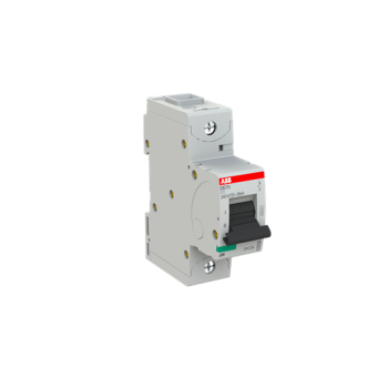  DISJ. 1P S801N C 13A - 36 KA 