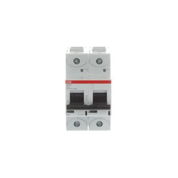  DISJ S802N 2P 25A COURBE C RAC 