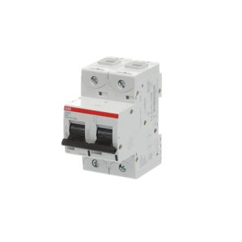  DISJ S802N 2P 50A COURBE D RAC 