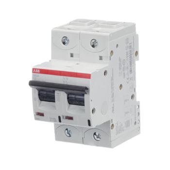  DISJ S802S 2P 32A COURBE K RAC 