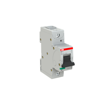  DISJ S801C 1P 63A COURBE C RAC 