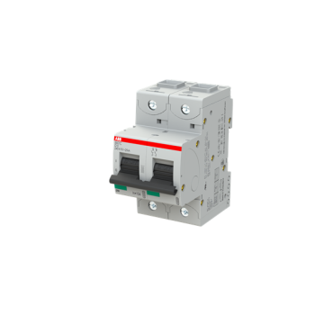  DISJ S802C 2P 10A COURBE C RAC 