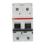  DISJ S802C 2P 25A COURBE K RAC 