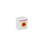  COFFRET DE PROXIMITE 32A 3 PLE 