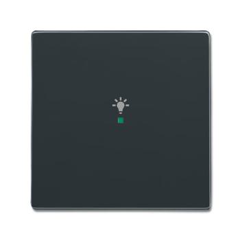  ENJOLIVEUR 1 TOUCHE 1 LED 1 PI 