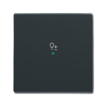  ENJOLIVEUR 1 TOUCHE 1 LED 1 PI 