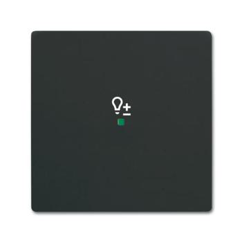 ENJOLIVEUR 1 TOUCHE 1 LED 1 PI 