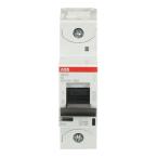  DISJONCTEUR S801S-K8 
