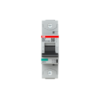  DISJ. 1P S801P C 100A - 50KA 