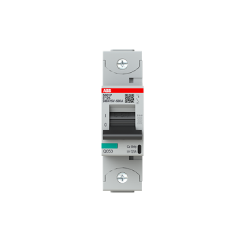  DISJ. 1P S801P C 125A - 50KA 