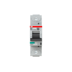  DISJ. 1P S801P D 80A - 50KA 