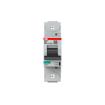  DISJ. 1P S801P D 80A - 50KA 