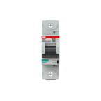  DISJ. 1P S801P D 125A - 50KA 