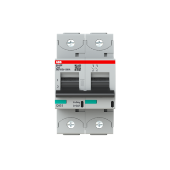  DISJ. 2P S802P D 80A - 50KA 
