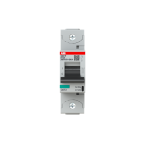  DISJ. 1P S801P K 125A - 50KA 
