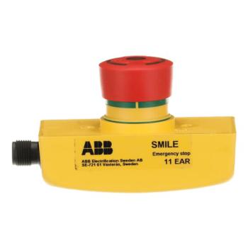  ARRT D'URGENCE SMILE 11 EAR 