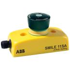  ARRT D'URGENCE SMILE 11 SA 