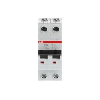  DISJONCTEUR 2P S202 80A COURBE 