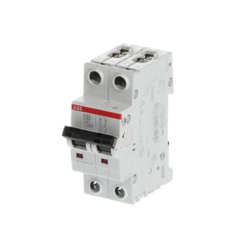  DISJONCTEUR 2P S202 80A COURBE 