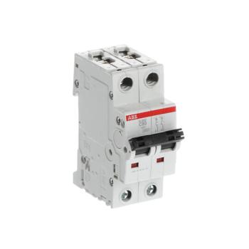  DISJONCTEUR 2P S202 80A COURBE 