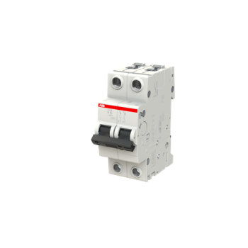  DISJONCTEUR 2P S202 80A COURBE 