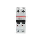  DISJONCTEUR 2P S202 100A COURB 