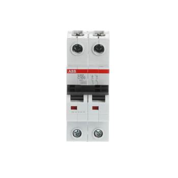  DISJONCTEUR 2P S202 100A COURB 