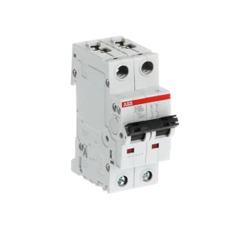  DISJONCTEUR 2P S202 100A COURB 