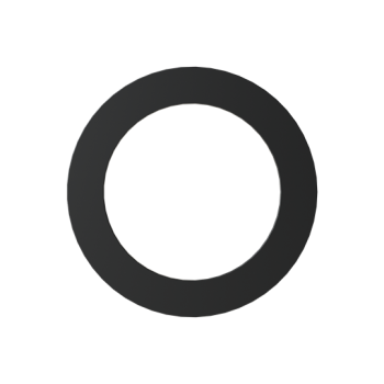  PG21 SEALING WASHER 