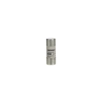  FUSIBLE CYLINDRIQUE 22X58 MM E 