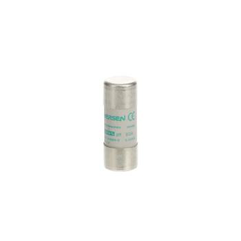  FUSIBLE CYLINDRIQUE 22X58 MM E 