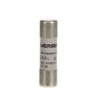  FUSIBLE CYLINDRIQUE 14X51 MM E 