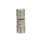  FUSIBLE CYLINDRIQUE 22X58 MM E 