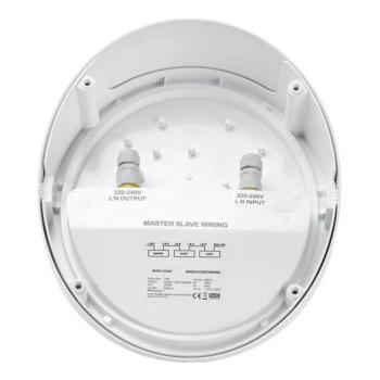  MARS ASYM BLANC 19W 829 PREA 