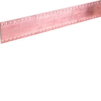  Barres 125x5 mm L1750 mm D10 