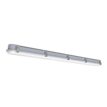  CAIMAN VERSA GRIS 